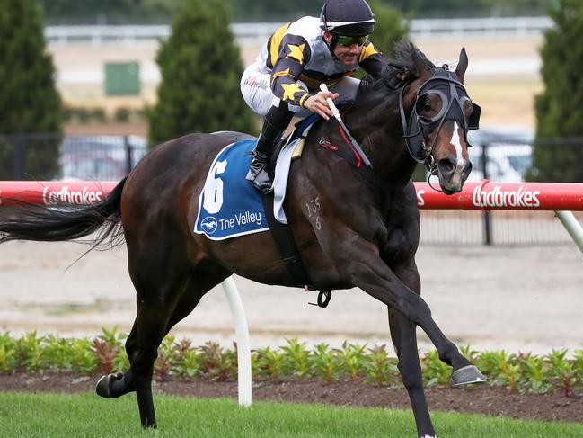 Brett Prebble pilots It’s Kind of Magictyo victory in the Leneva Park Handicap.