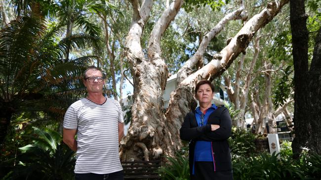 QLD_CP_NEWS_PALM_COVE_PAPERBARK