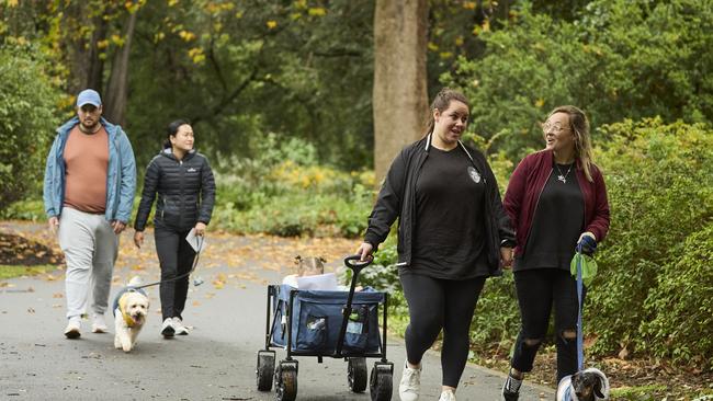Million Paws Walk in the Adelaide Botanic Gardens, Sunday, May 28, 2023. Picture: Matt Loxton