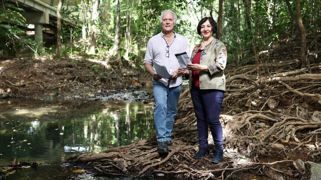 Regional Development Australia Tropical North and James Cook University have hosted the Regional Water Forum, bringing together industry leaders and representatives to discuss a long term vision for Far North Queensland's water allocation, sustainability and security. Professor Alan Dale from the Cooperative Research Centre for developing Northern Australia and Regional Development Australia Tropical North chairwoman Hurriyet Babacan stand in the rainforest beside Atika Creek, a freshwater stream that runs through James Cook University's Smithfield campus. Picture: Brendan Radke