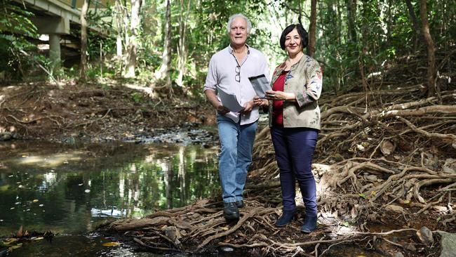 Regional Development Australia Tropical North and James Cook University have hosted the Regional Water Forum, bringing together industry leaders and representatives to discuss a long term vision for Far North Queensland's water allocation, sustainability and security. Professor Alan Dale from the Cooperative Research Centre for developing Northern Australia and Regional Development Australia Tropical North chairwoman Hurriyet Babacan stand in the rainforest beside Atika Creek, a freshwater stream that runs through James Cook University's Smithfield campus. Picture: Brendan Radke