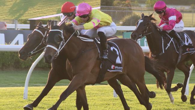 Finepoint can resume with a win at Rosehill on Saturday. Picture: Grant Guy