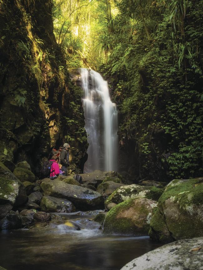 Box Log Falls, Lamington National Park. Picture: Tourism and Events Queensland/ Nathan White