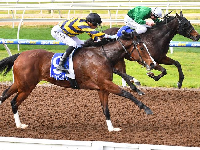 Dundancer ridden by Ben Allen wins the Furphy Crisp Lager Maiden Plate at Sportsbet Pakenham Synthetic track on July 25, 2023 in Pakenham, Australia. (Photo by Pat Scala/Racing Photos via Getty Images)