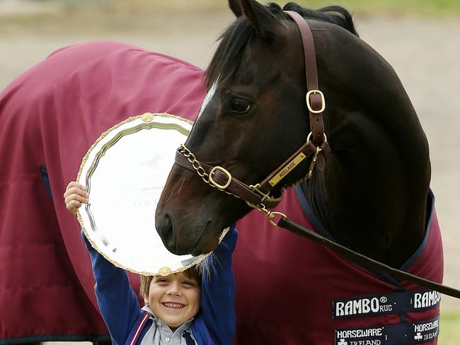 International Horse's trackwork at Werribee Racecourse, Melbourne. Cox Plate winner Adelaide has a look at the plate held up by Charlie Magnier son of Tom Magnier from Coolmore,. 26th October 2014. Picture: Colleen Petch.