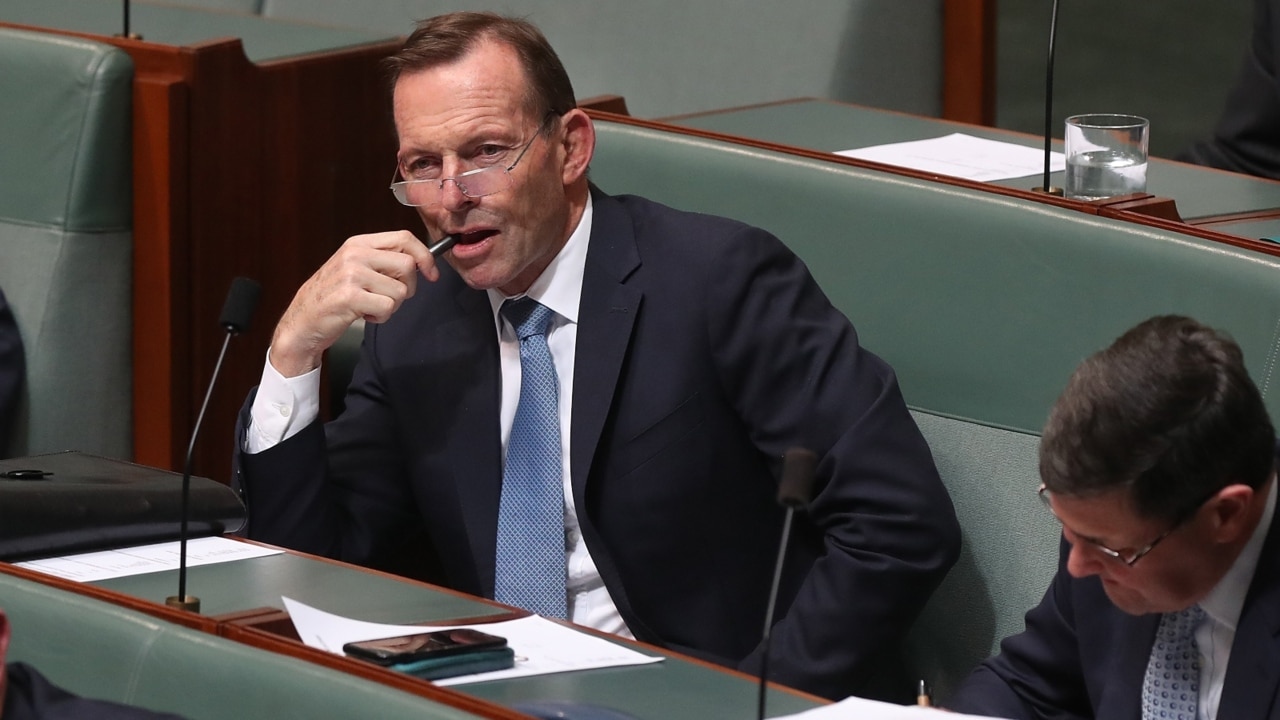 Abbott shares blame for leadership coup: Liberal Party President