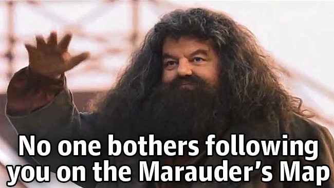 “Yer a lizard, Harry.” - Gandalf