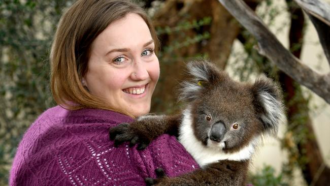 PhD candidate Jessica Fabijan from the University of Adelaide, with rescue koala Charlotte. Picture: Tricia Watkinson