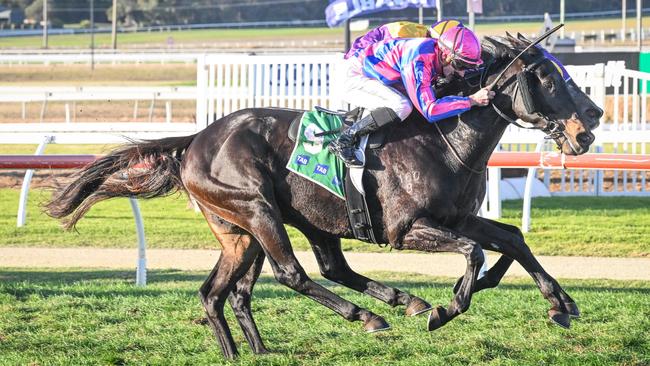 Jabbawockeez loves racing on rain-affected ground. Picture: Reg Ryan/Racing Photos via Getty Images