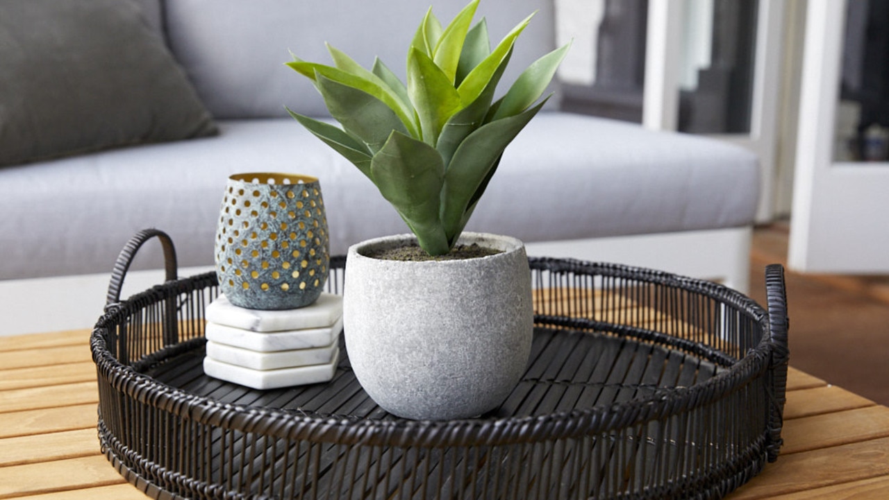 Shaynna Blaze was super offended by the plastic pot plant (pictured) so much so, she grabbed it and put it out of the camera's sight. Picture: The Block