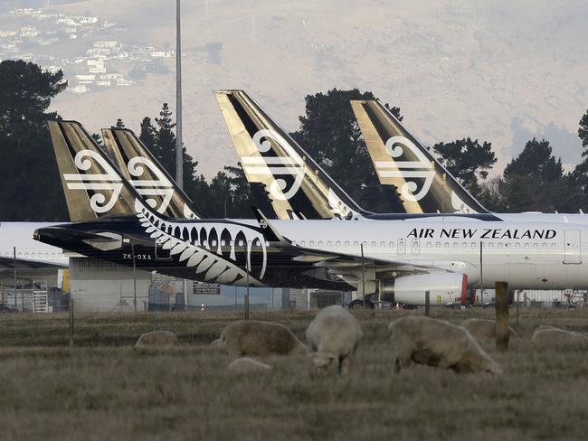 Air New Zealand planes sit parked on the tarmac as sheep graze in a nearby field at Christchurch Airport. Picture: AP