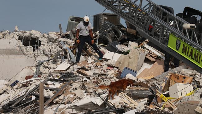 A Miami-Dade Fire Rescue person and a K-9 continue the search and rescue operations in the partially collapsed 12-storey Champlain Towers South condo building.