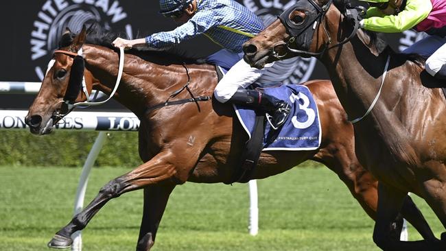 ‘Dearly love to win’: Trainer hoping fourth time’s a charm in The Archer