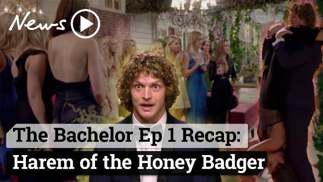 The Bachelor Episode 1 Recap: Harem of the Honey Badger