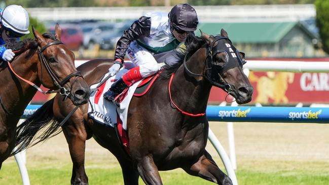 Mr Brightside holds on to win the Group 1 Futurity Stakes at Caulfield on Saturday. Picture: George Sal/Racing Photos via Getty Images