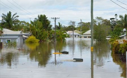 Bundaberg's darkest hour has brought out the best in the region and Fiona Sweetman's photos capture the event in amazing detail. . Picture: Contributed: Fiona Sweetman