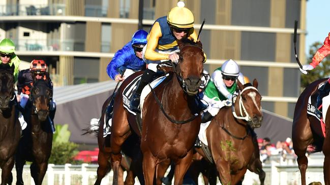 The Inevitable (green and white) ran fourth behind Stefi Magnetica in the Stradbroke. Picture: Grant Peters — Trackside Photography.