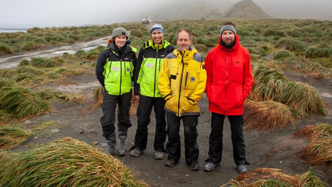 Two PWS rangers with Dr Aleks Terauds (third from left), Australian Antarctic Division/Research Scientist and Dr Kris Carlyon (far right), Department of Natural Resources and Environment/Wildlife Biologist on Macquarie Island. Picture: Pete Harmsen