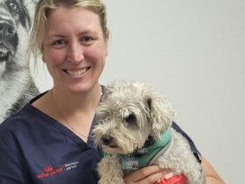 Dr Catherine Harper from Barossa Veterinary Service with Frasier. Dr Harper and other vets can make recommendations to prospective dog owners. Picture: Amy Maynard