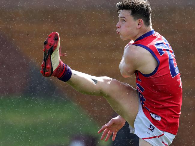 Dion Johnstone takes a kick for Port Melbourne.