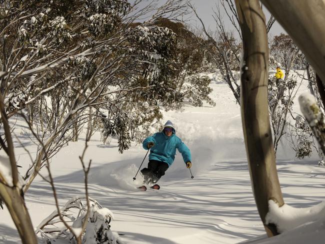 Skiing is what the Snowy Mountains have become renowned for but the region has a rich history with native inhabitants converging on the area to feast on Bogong moths in summer.