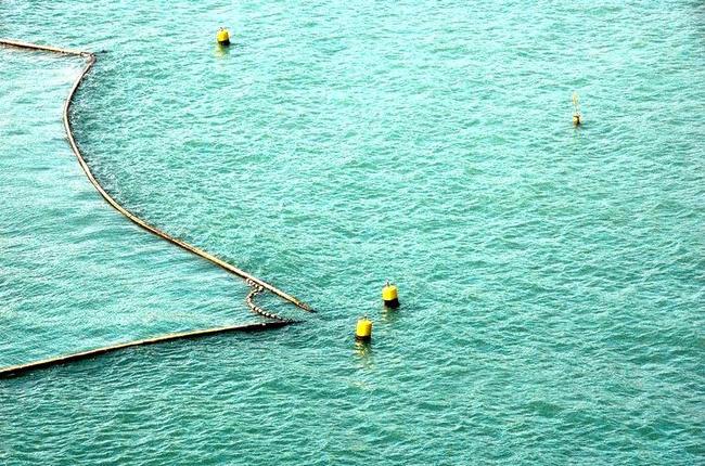 Shark meshing nets. Picture: DPI