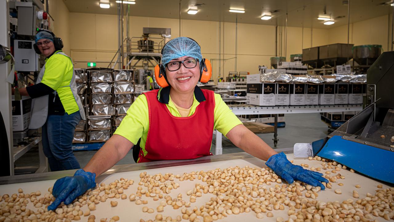 Marquis Macadamias at Lindendale near Lismore, Australia expands exports to  India | Daily Telegraph