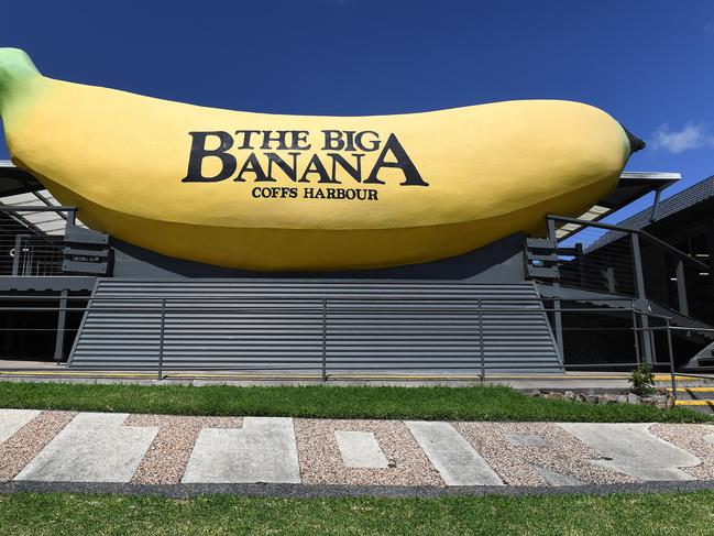 The Big Banana is seen in Coffs Harbour, Friday, October 27, 2017. The Big Banana, which opened in 1964, is Australia's original and most famous 'Big Thing'. Created to advance the banana industry and tourism in Coffs Harbour, it had a knock on effect with other 'Big Thing' developments created across the country. (AAP Image/Dave Hunt) NO ARCHIVING