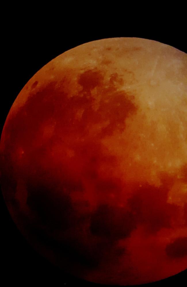 The January blue blood super moon as seen from The Strand in Townsville. Photo: Grace Hayes