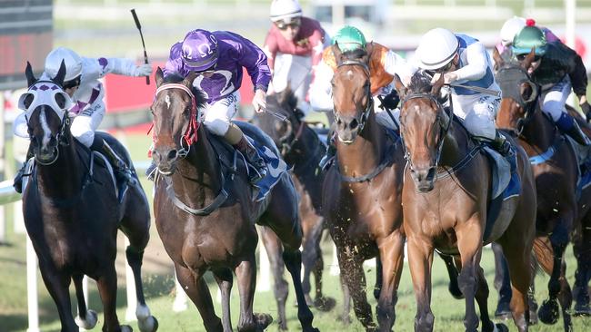 Heart Of A Warrior (left) is Tony Gollan’s best chance at Ipswich today. Pic Jono Searle.