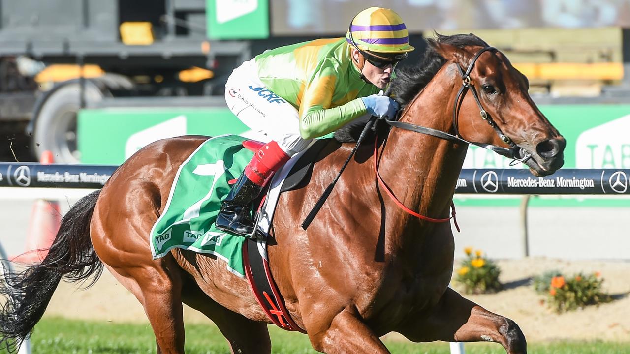 Dr Drill hasn’t raced since winning the Cranbourne Cup last month. Picture: Getty Images