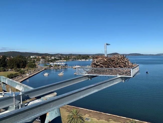 The birds have the best view on the Central Coast. Picture: Central Coast Council