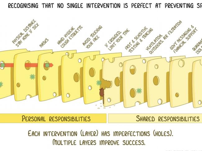 Prof Ian Mackay creation based on the Swiss Cheese model of accident causation , is spreading around the world., Covid 19 , coronaVirus