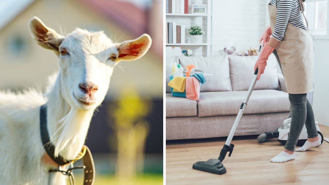 Can’t vacuum after 7pm: Qld’s most bonkers rules you didn’t know existed