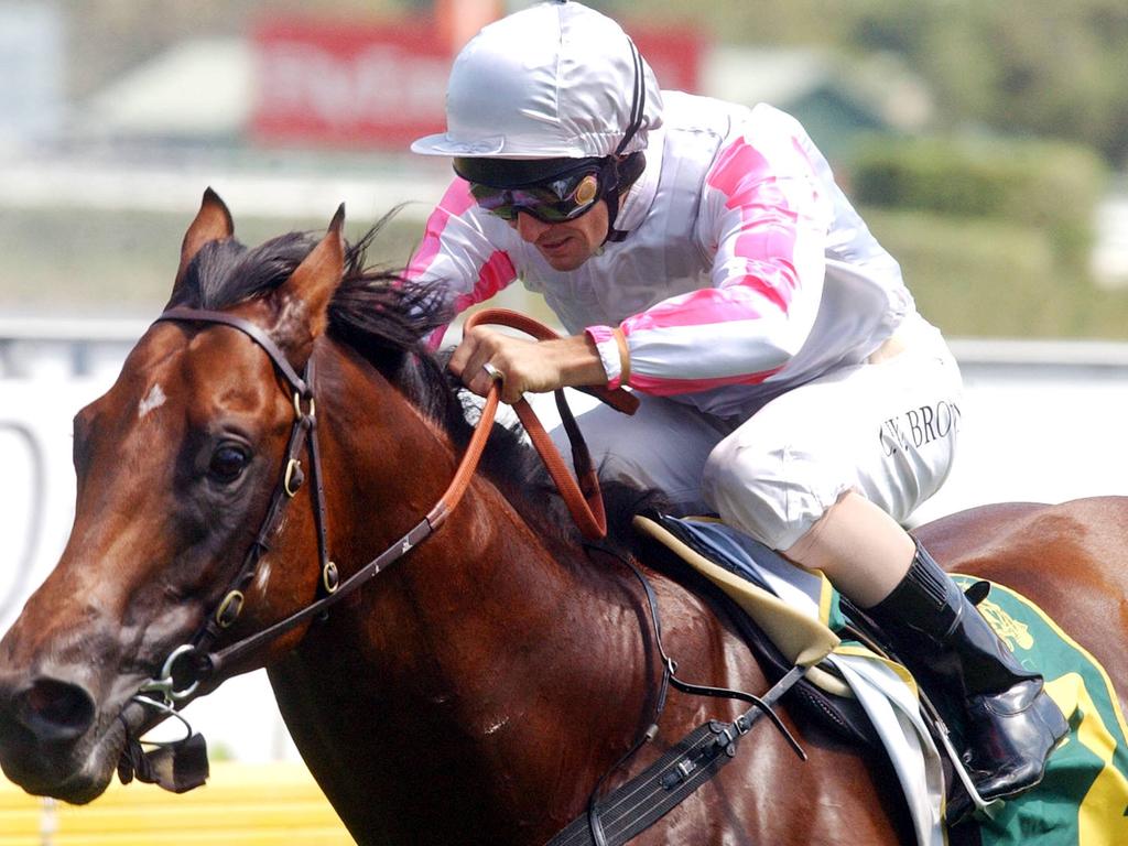 14.02.04...RANDWICK RACES race 5 winner #2 exceed and excel ridden by corey brown....pic JENNY DUGGAN