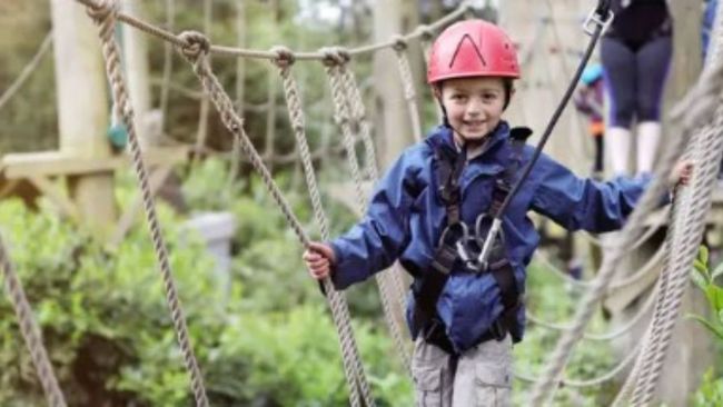 Go for a treetop adventure at Tamborine Mountain. Image: Klook