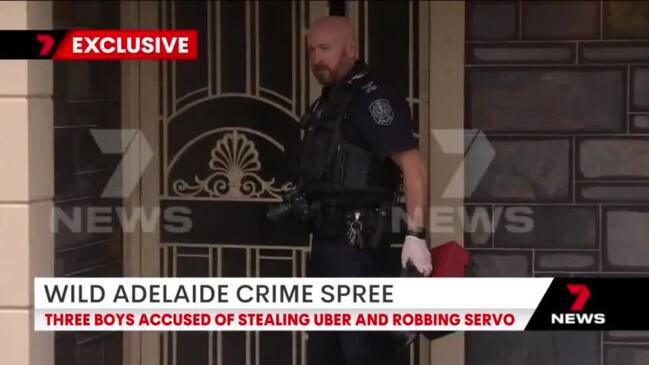 Three kids charged over wild crime spree (7NEWS)