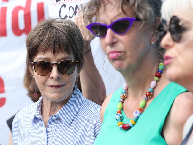 Why ‘Green Grannies’ made raucous protest in Qld parliament