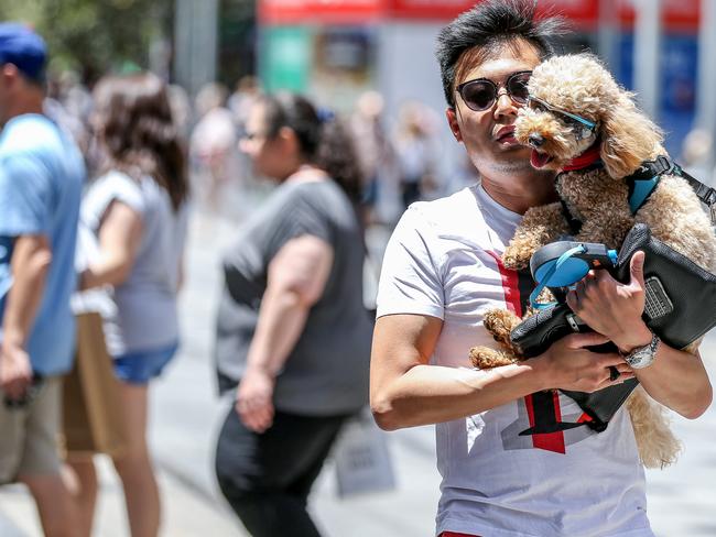 A shopper — complete with canine friend — heads down to Melbourne’s Bourke Street Mall. Picture: Tim Carrafa