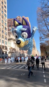 Bluey appears in the annual Macy's Thanksgiving parade