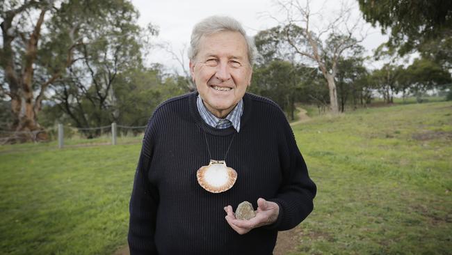 Father Michael Tate. Picture: MATHEW FARRELL