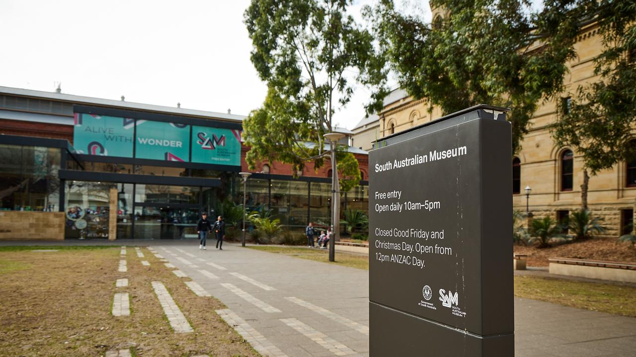 South Australian Museum in Adelaide. Picture: Matt Loxton