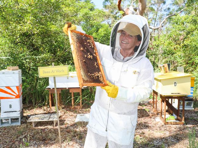 Michelle Blyme keeps her hive on someone else’s property. Picture: Renee Nowytarger.