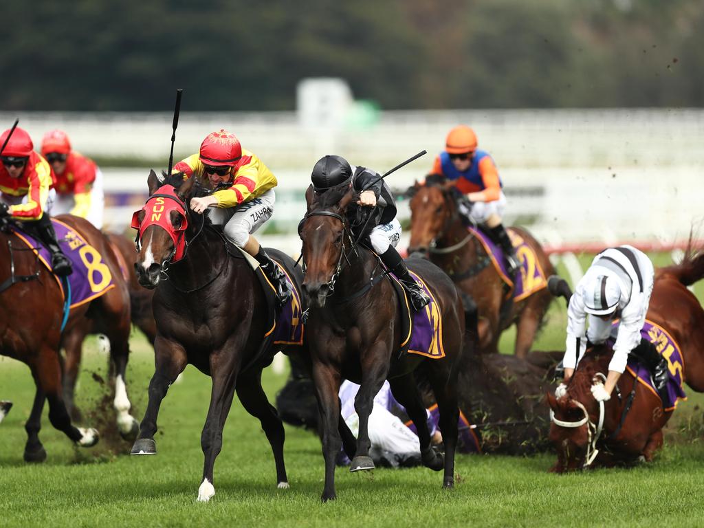 Persan falls at Randwick last year. (Photo by Mark Metcalfe/Getty Images)