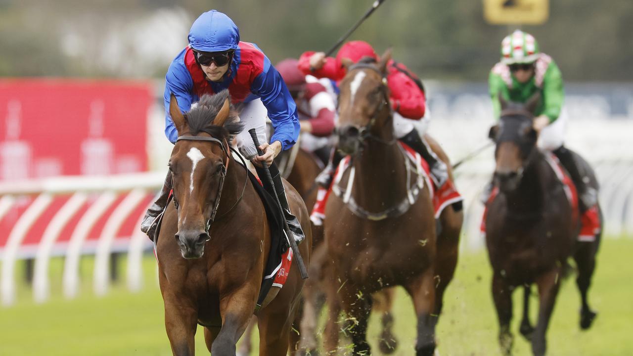 Arapaho has been a big firmer in race 8, the Tancred Stakes, at Rosehill on Saturday. Picture: Getty Images