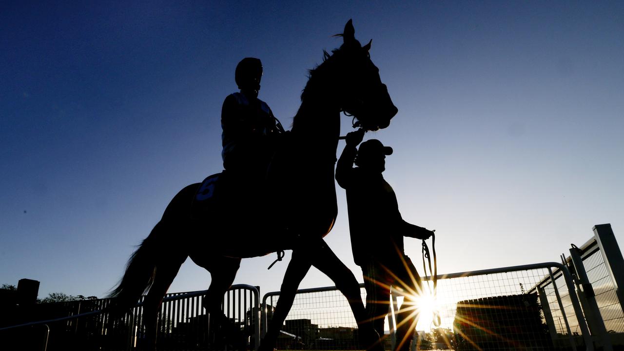 Desperate trainers scammed by trackwork jockey conman