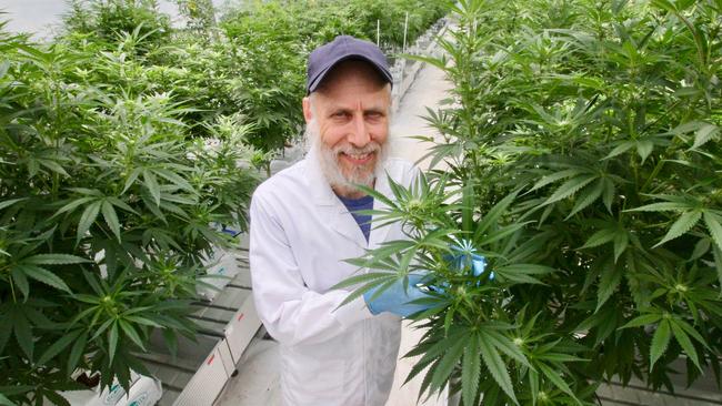 Cannatrek chief executive Tommy Huppert