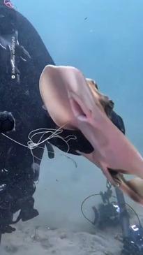 Aussie divers rescue a little ray caught in fishing line