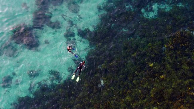 Divers explore Cabbage Tree Bay. Picture: Sam Ruttyn