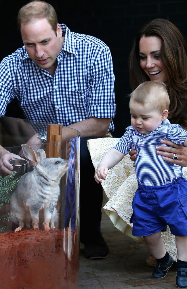 Catherine, Duchess of Cambridge, holds a young Prince George with Prince William at Taronga Zoo in 2014. Picture: Getty